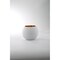 CC Home Furnishings 7.5" White and Gold Modern Style Spherical Decorative Glass Vase